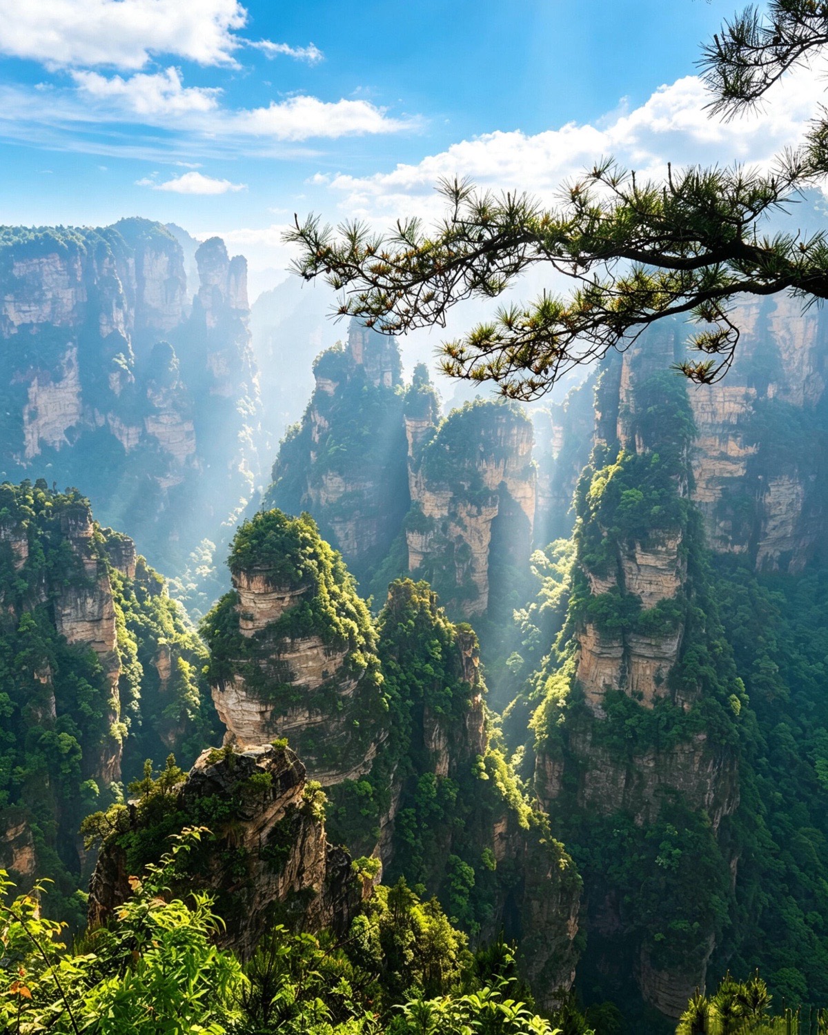 Visitors cross a bridge among Zhangjiajie’s sandstone pillars and misty forest