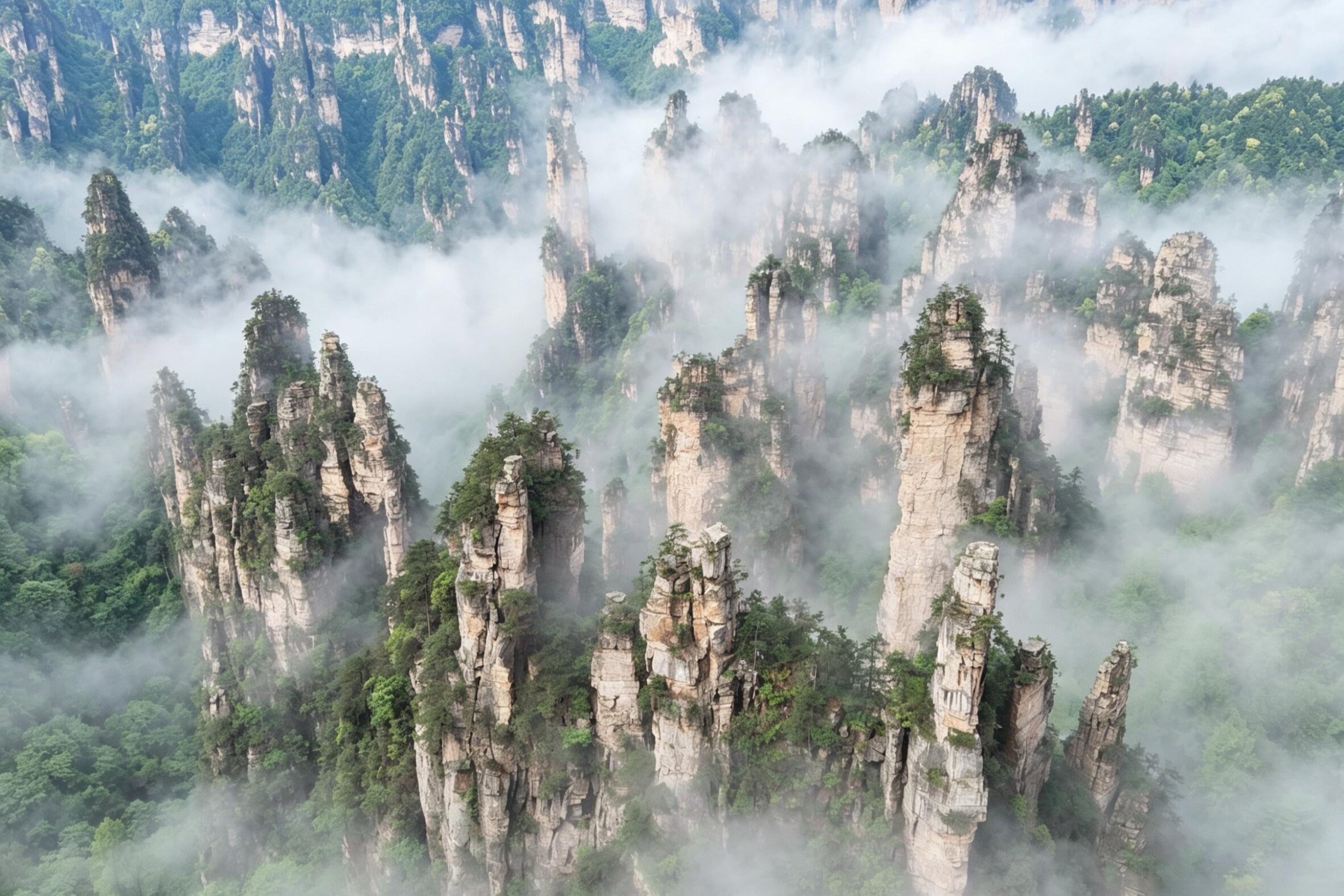 Zhangjiajie’s sandstone pillars rising through forest and mist